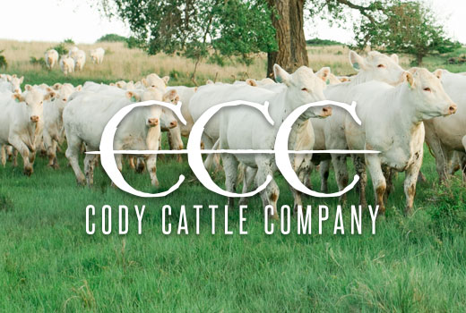 Cody Cattle Company Website Preview