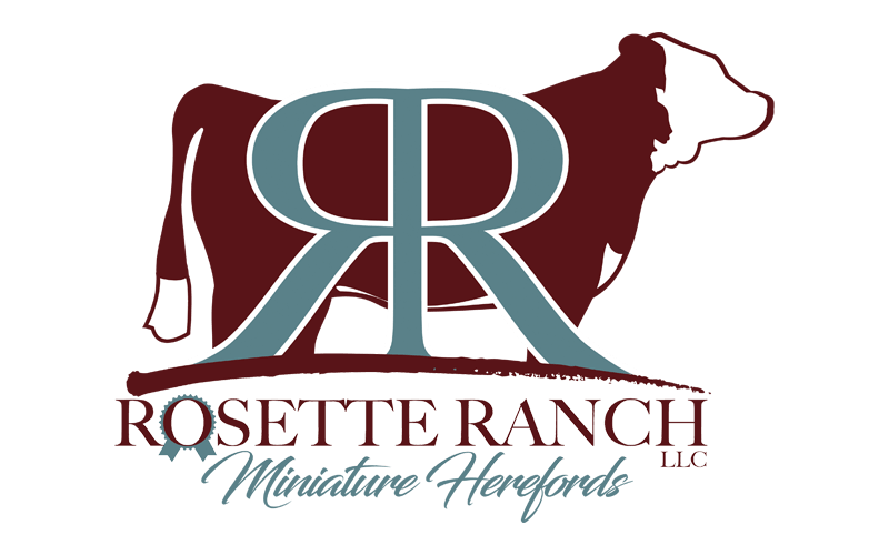 Cattle Logo Design - Rosette Ranch Mini Herefords Logo Miniature Hereford Logo Design - Ranch House Designs